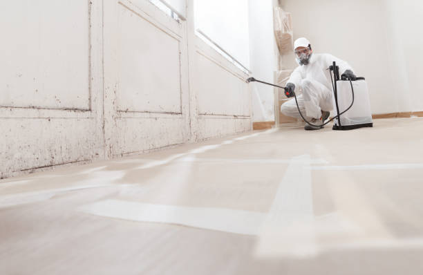 24/7 Emergency Black Mold Removal experts in Furlong, PA
